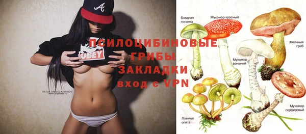 spice Арсеньев