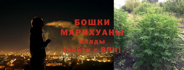 ешки Аркадак