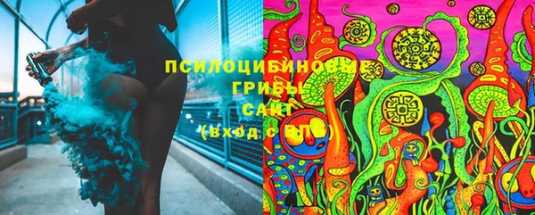 ешки Аркадак