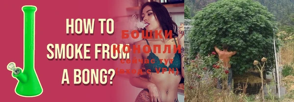 ешки Аркадак